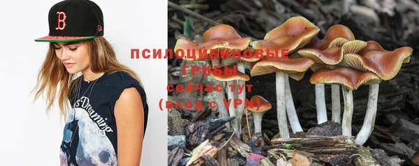 метамфетамин Богданович