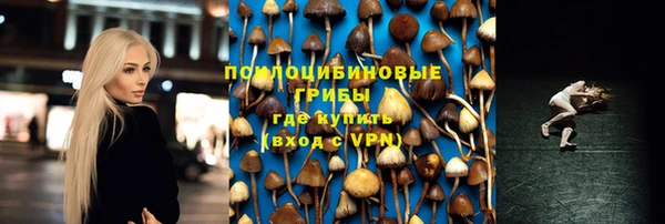 MDMA Богородицк