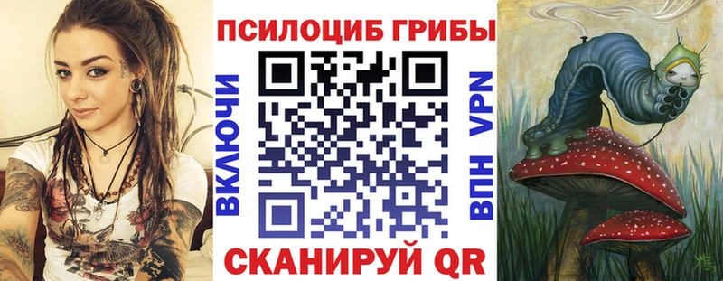 кракен онион  Берёзовка  Галлюциногенные грибы ЛСД 